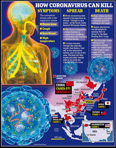 Coronavirus Prevention Kit